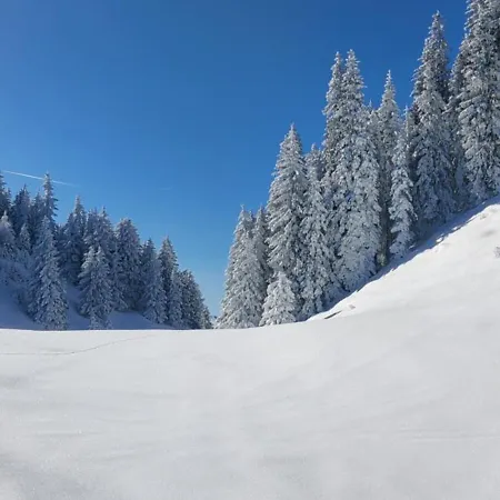 Apartment Salvenblick