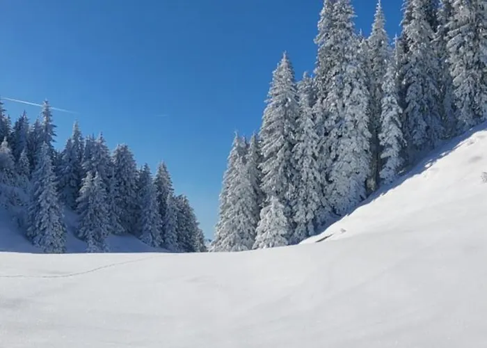 Appartement Salvenblick